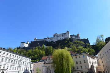 Fototapeta premium Blick auf Festung Hohensalzburg vom Kapitelplatz 