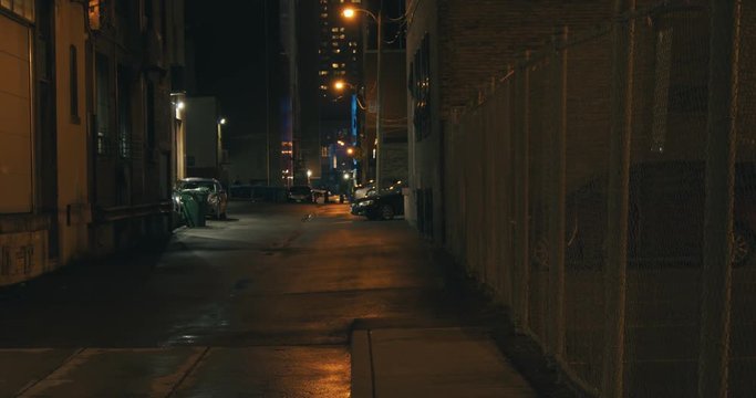 Establishing shot of a dark alleyway at night. Atmospheric 4K footage. Shot on a cinema camera in RAW. No discernible faces or logos.