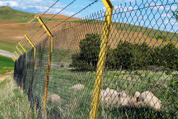 wire mesh fence deformed by immigrants at boundaries,