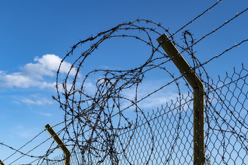 creating barbed fence to prevent smuggling and immigrants at the borders,