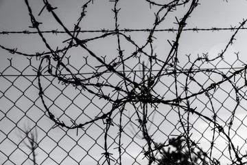 creating barbed fence to prevent smuggling and immigrants at the borders,