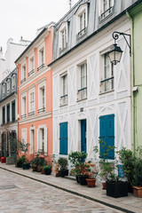 Fototapeta na wymiar Colorful houses along Rue Cremieux in Paris, France