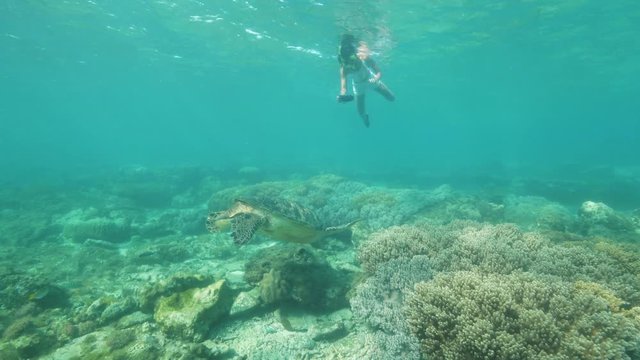 Young girl does an underwater camera turtle swimming underwater.