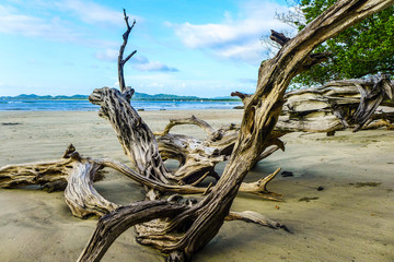 Plage de Tamarindo au Costa Rica