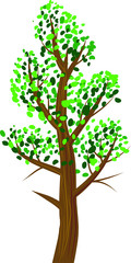 Fototapeta na wymiar Vector icon of tree with green leaves