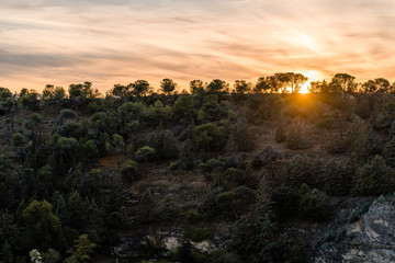 Sunset through some trees that are in the summit of a hill