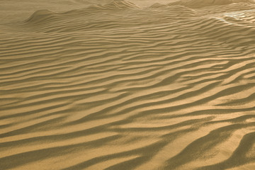 3d rendering, the wide desert, with stripes shapes.