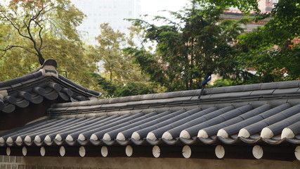 기와에 앉은 행운의 상징