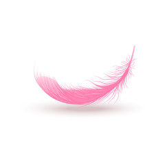 Pink swirled feather close up 3d realistic vector isolated on white background.
