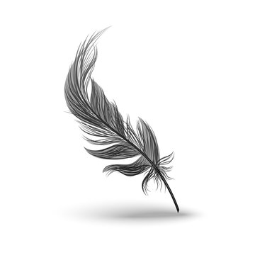 Black falling fluffy feather vector illustration isolated on white background.