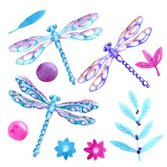 Collection watercolor of flying dragonflies. For cover design, packaging, backgrounds