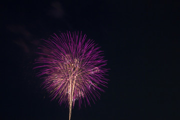 Fototapeta premium 花火