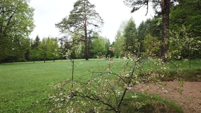Spring at the I.E. Manor Museum Repina Zdravnevo