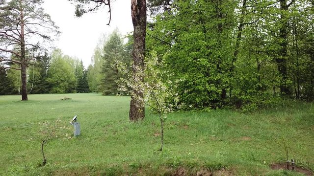 Spring at the I.E. Manor Museum Repina Zdravnevo