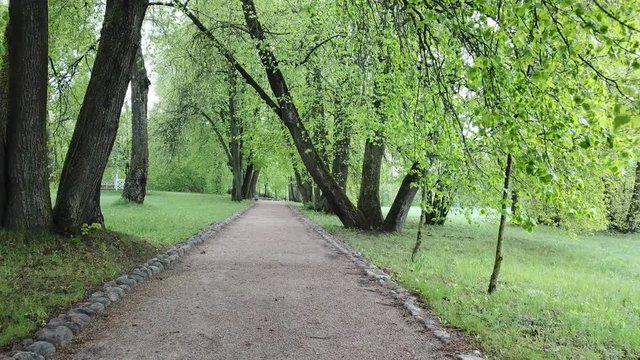 Spring at the I.E. Manor Museum Repina Zdravnevo