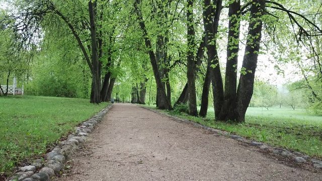 Spring at the I.E. Manor Museum Repina Zdravnevo