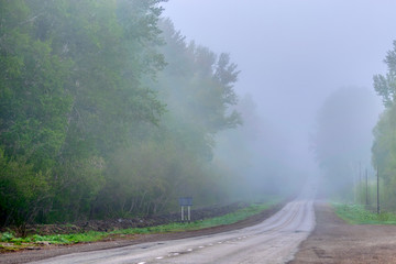 Fog on the road going through the forest.