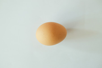 chicken egg isolated on white background