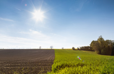 Ploughland. Wheat Field. Hills. Nature. Blue. Sky