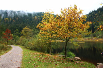 Naklejka premium Sankenbachsee