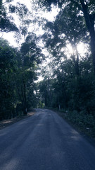 western ghats landscape