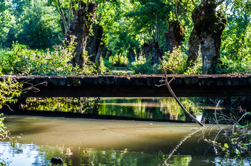 Marais Poitevin
