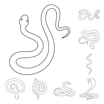 Isolated object of poison and evil logo. Collection of poison and bite stock vector illustration.
