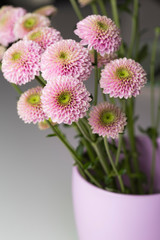 Purple flowers bouquet on a purple pot on an interior decoration close up