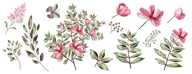Watercolor.  Botanical collection. Set of wild and garden abstract plants . Leaves, flowers, branches and other natural elements. All drawings isolated on white background. Pink flowers. - 268462609