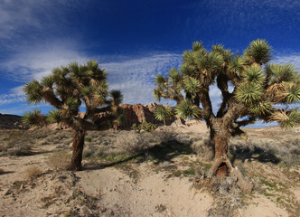 Red Rock Canyon, California