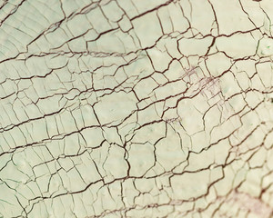 Cracked dry mud mask on skin, texture