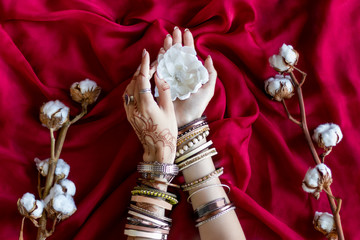 Female wrists painted with traditional Indian oriental mehndi ornaments by henna. Hands dressed in bracelets and rings hold white flower. Vinous fabric with folds and cotton branches on background.