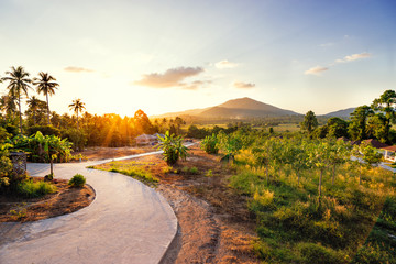 Fototapeta premium Beautiful landscape with curve road, meadow and mountain with sunset sky.