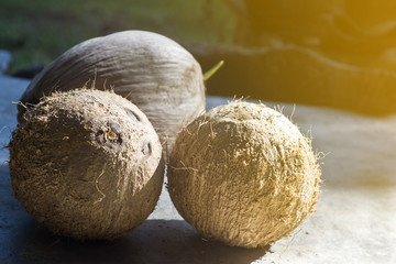 Close-up of old coconut and the peeled coconut are ready to be grated. And squeezed coconut milk To use as a food ingredient with selective focus.
