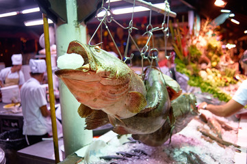 Big monster fish on ice at Thai night street market.