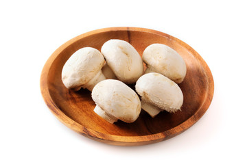 ホワイトマッシュルーム　White mushroom
