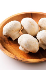 ホワイトマッシュルーム　White mushroom