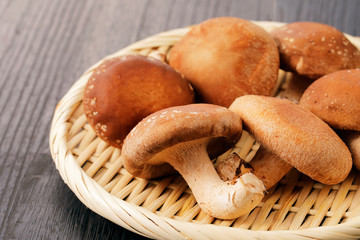 椎茸　Shiitake mushrooms