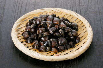 しじみ　Japanese shijimi clam