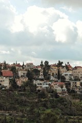 Fototapeta na wymiar Houses of town in Israel summertime