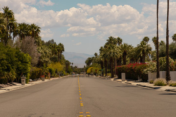 street of palm spring