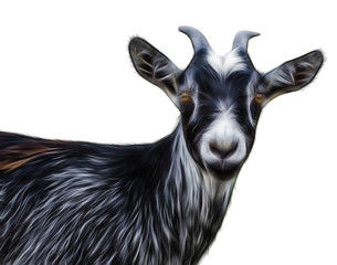 abstract fractal  Portrait of black goat