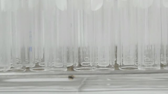 Test tube blood group testing in laboratory science concept.