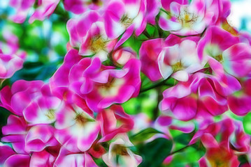 Obraz premium Fractal abstract beautiful pink flower
