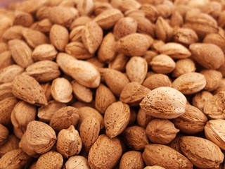 Almond kernels in the shell at the counter of the country market