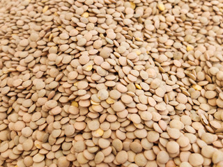 Lentil seed at the country market counter