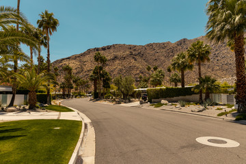 Obraz premium street of palm spring
