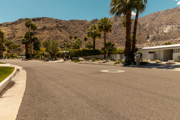street of palm spring