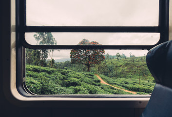 View from the window of Old train moving by famous beautiful  railway in Sri Lanka in mountains and...