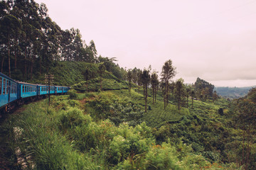 Old train moving by famous beautiful  railway in Sri Lanka in mountains and tea plantations